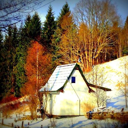 Dziewiecsil-Domek W Gorach Душники-Здруй Экстерьер фото