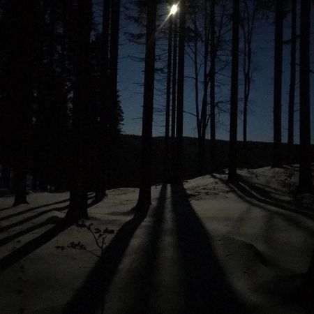 Dziewiecsil-Domek W Gorach Душники-Здруй Экстерьер фото
