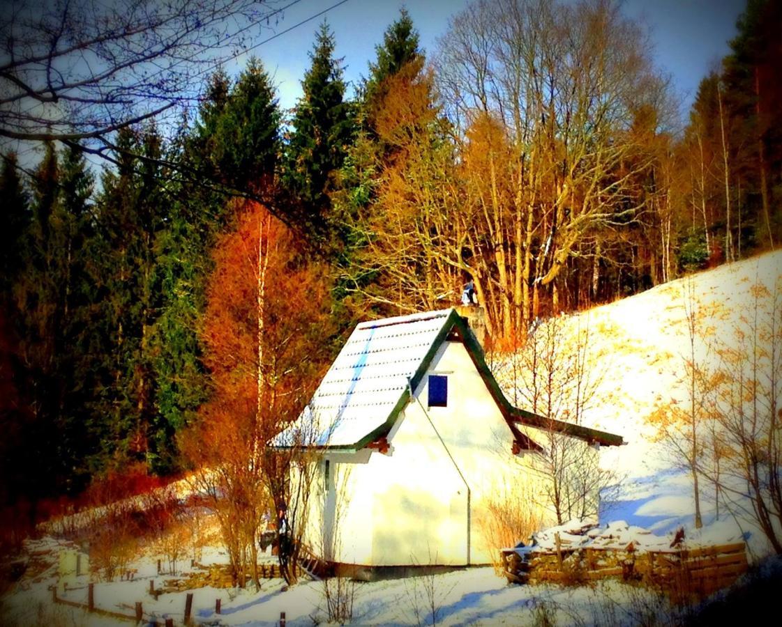 Dziewiecsil-Domek W Gorach Душники-Здруй Экстерьер фото